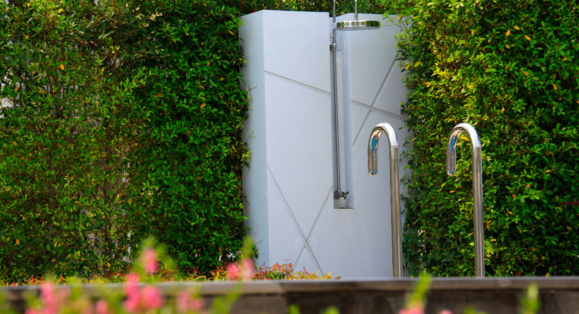 รูปภาพ อินดี้ ประชาอุทิศ (2) (Indy Prachauthit 2)