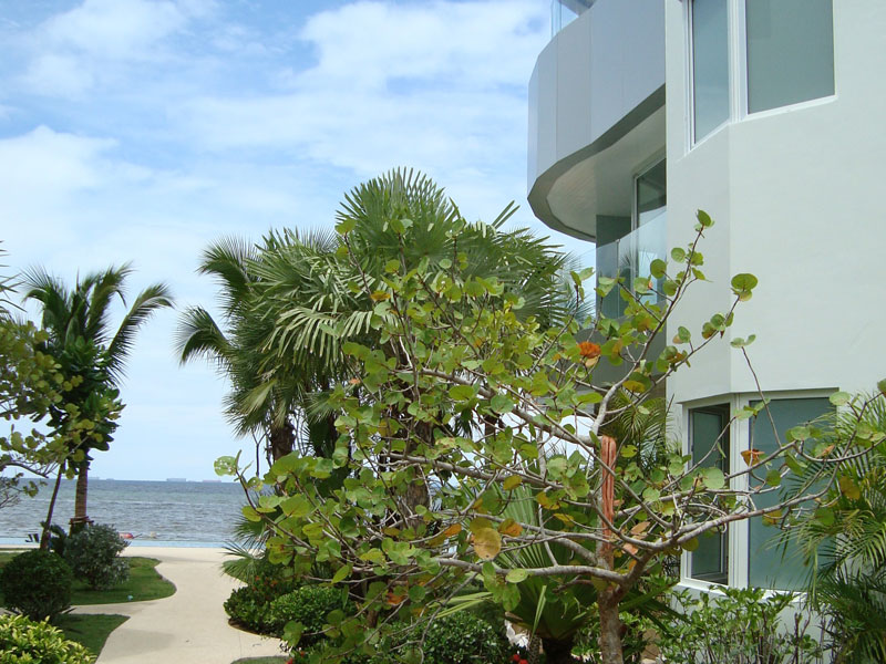 รูปภาพ โอเชียน เอจ (Ocean's Edge)