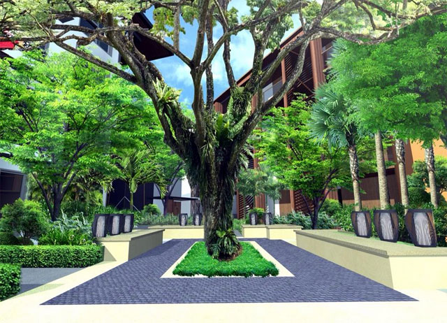 รูปภาพ พาคาทัส (Pacatas)