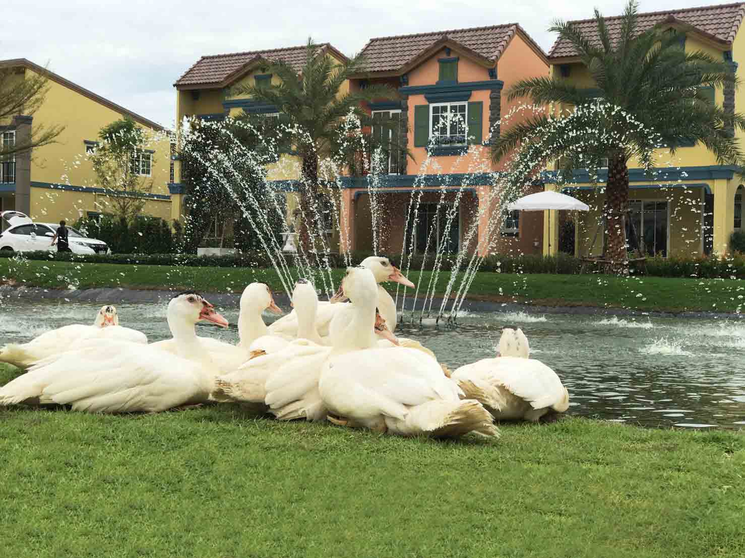 รูปภาพ โกลเด้น ทาวน์ ศรีราชา-อัสสัมชัญ (Golden Town Sriracha - Assumption)