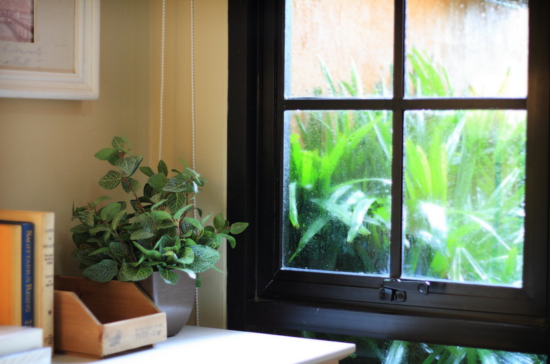 รูปภาพ เดอะ พาลาซเซตโต้ พหลโยธิน กม.64 (The Palazzetto Phaholyothin 64)