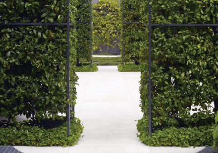 รูปภาพ โซล เอกมัย - ลาดพร้าว (Soul Ekamai - Ladprao)