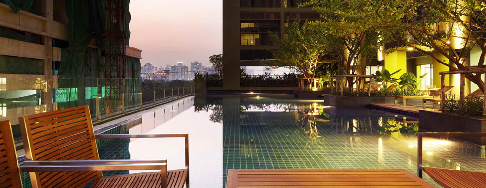 รูปภาพ โนเบิล โซโล (Noble Solo)