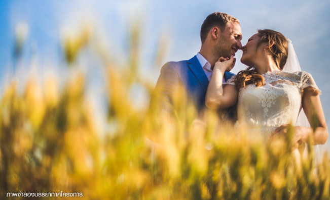 รูปภาพ ดีญ่า วาเลย์ ศรีราชา (Diya Valley Sriracha)