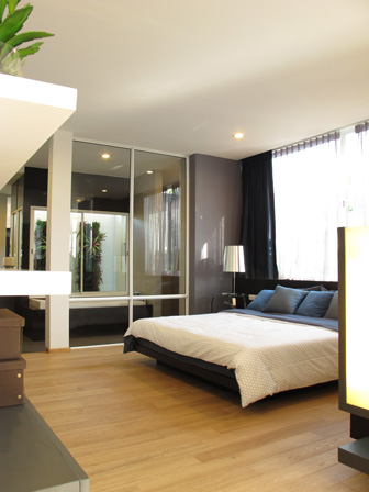 รูปภาพ เนอวานา บียอนด์ พระราม 9 (Nirvana Beyond Rama 9)