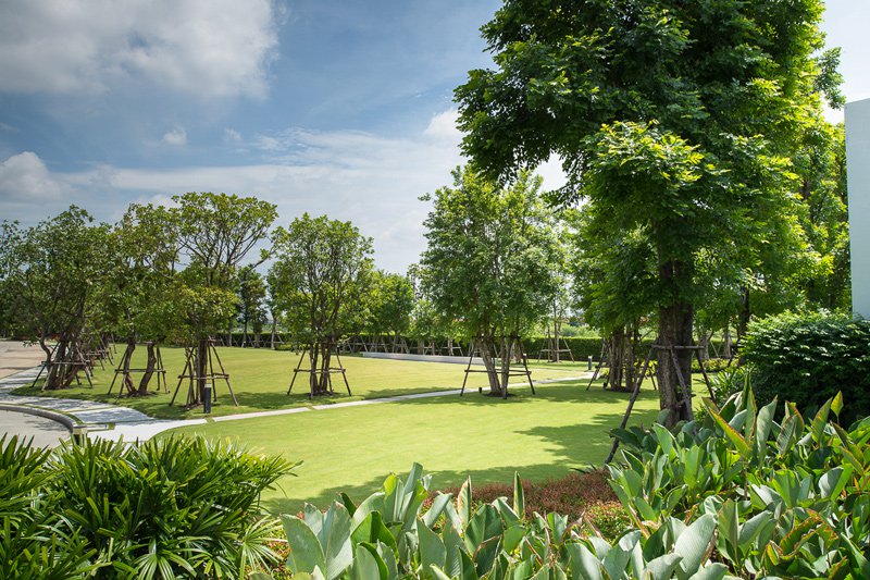 รูปภาพ คณาสิริ ชัยพฤกษ์ - วงแหวน (Kanasiri Chaiyapruek - Wongwaen)