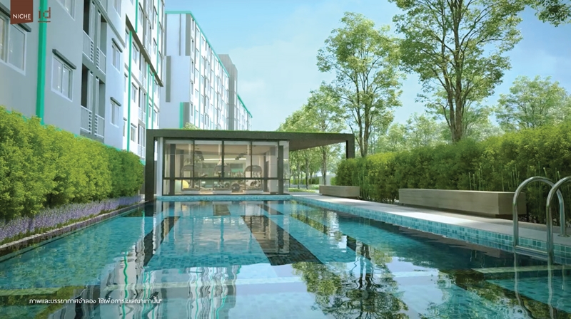 รูปภาพ นิช ไอดี เสรีไทย-วงแหวน (Niche id Serithai-Wongwaen)