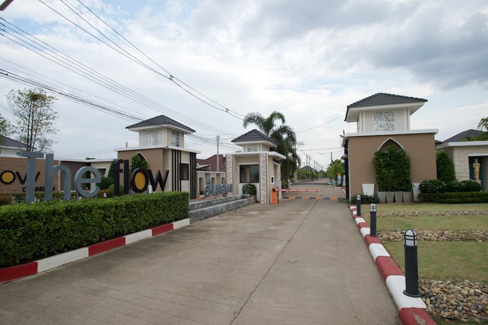 รูปภาพ เดอะ โฟลว์ (The Flow)