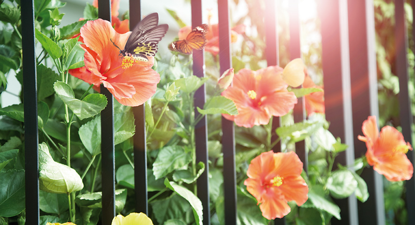 รูปภาพ มัณฑนา อ่อนนุช-วงแหวน 3 (Manthana Onnut-Wongwan 3)