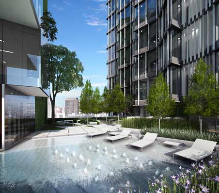 รูปภาพ ไซมิส ราชครู (Siamese RatchaKru)