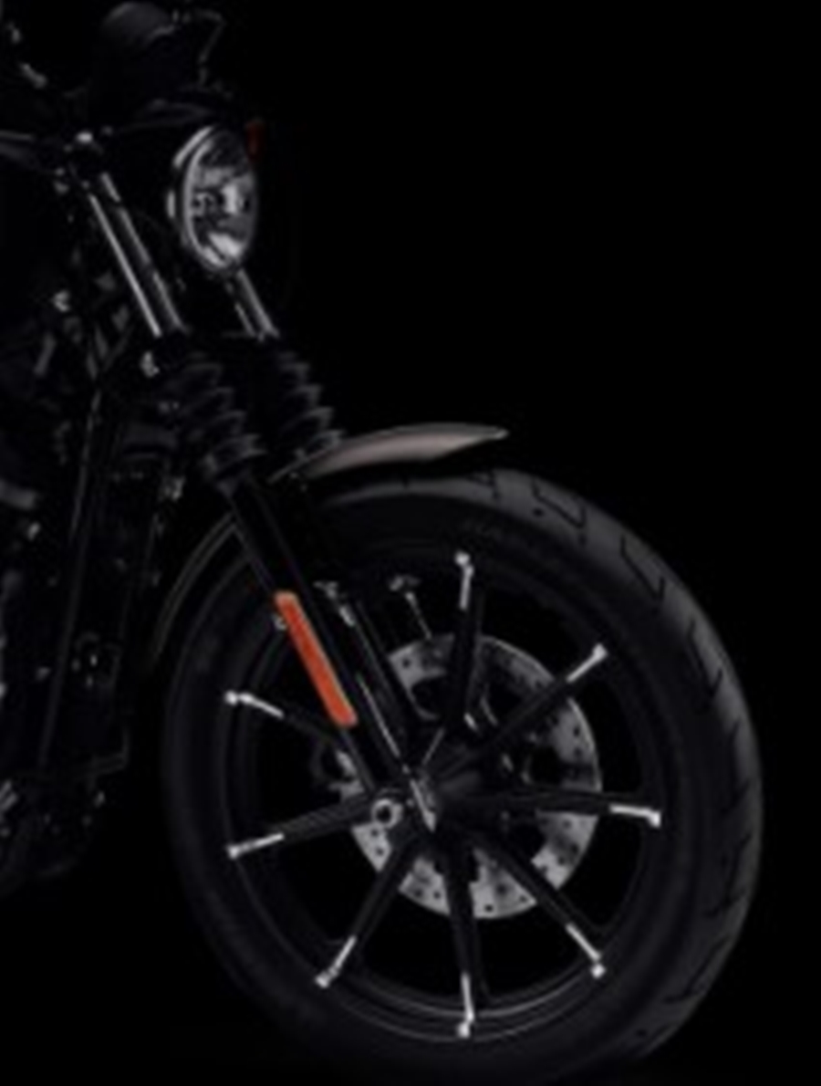 รูปภาพ ฮาร์ลีย์-เดวิดสัน Harley-Davidson Cruiser Iron 883 ปี 2022
