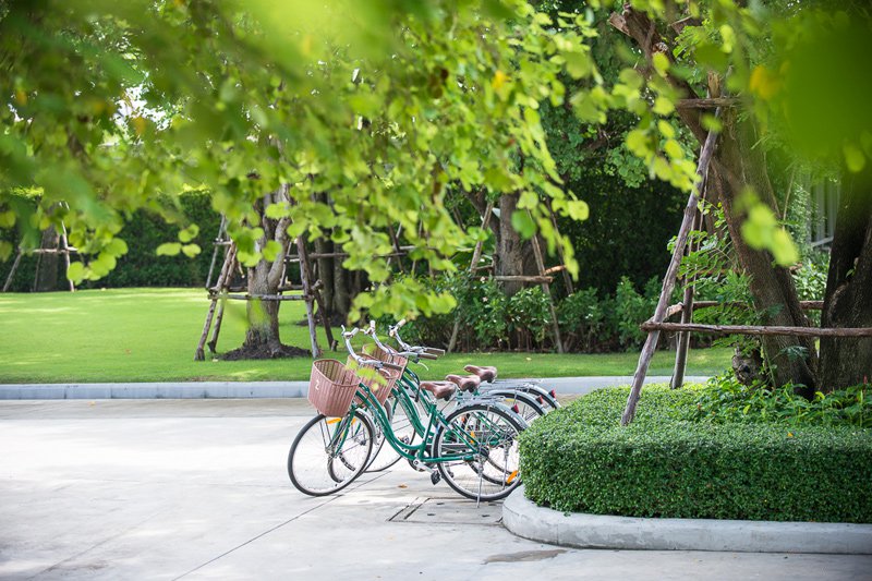 รูปภาพ คณาสิริ ชัยพฤกษ์ - วงแหวน (Kanasiri Chaiyapruek - Wongwaen)