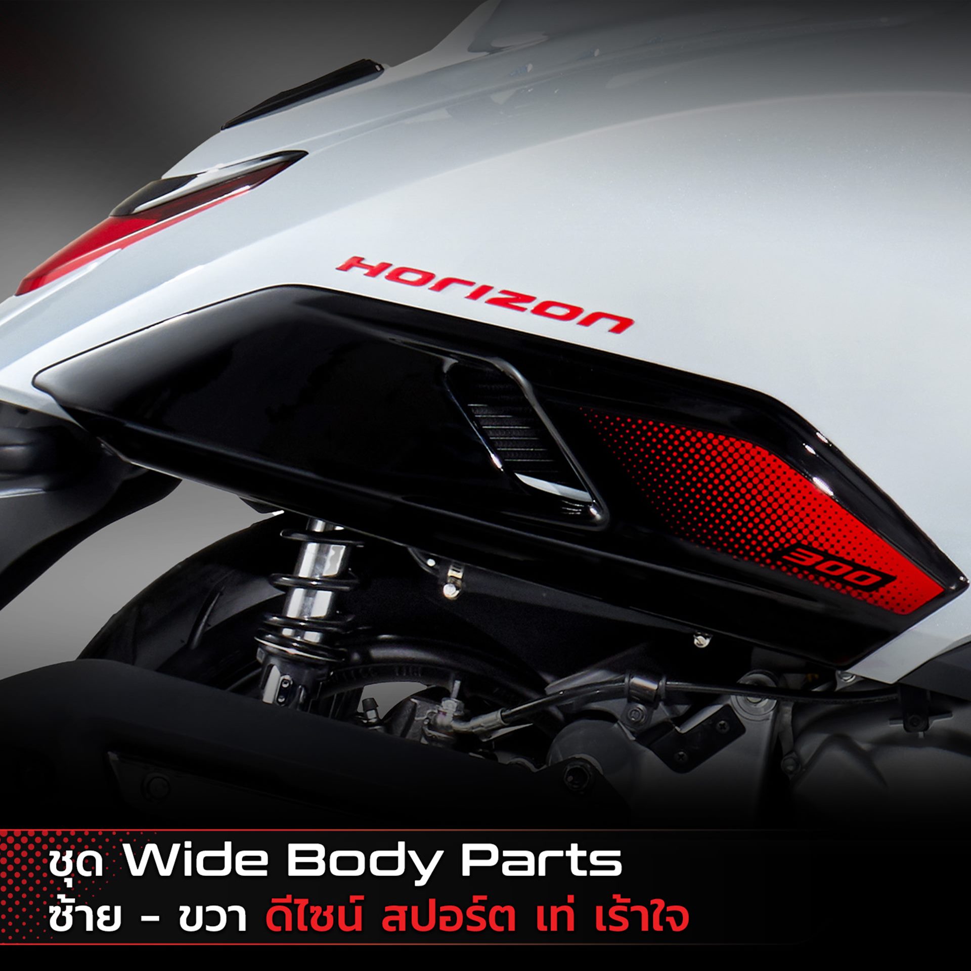 รูปภาพ อัลฟ่า โวแลนทิส Alpha Volantis Horizon 300 Strike Edition ปี 2024