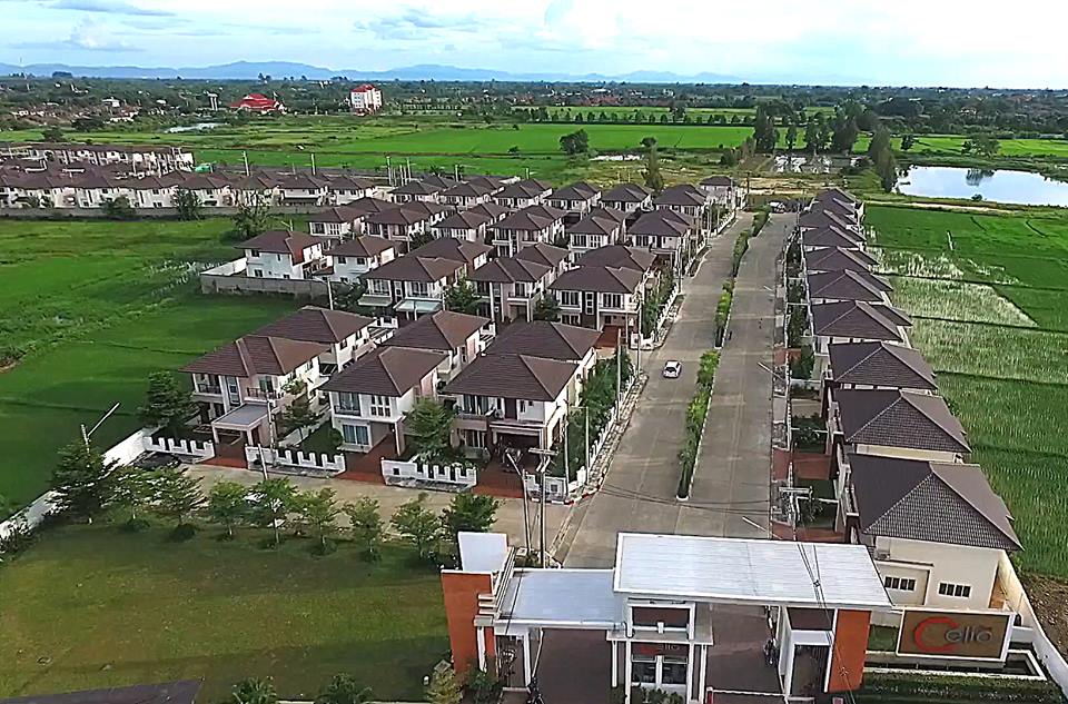 รูปภาพ เดอะ เซลิโอ (The Celio)