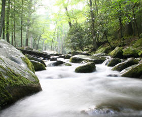 รูปภาพ ภูผาธารา เขาใหญ่ (Phuphatara Khaoyai)