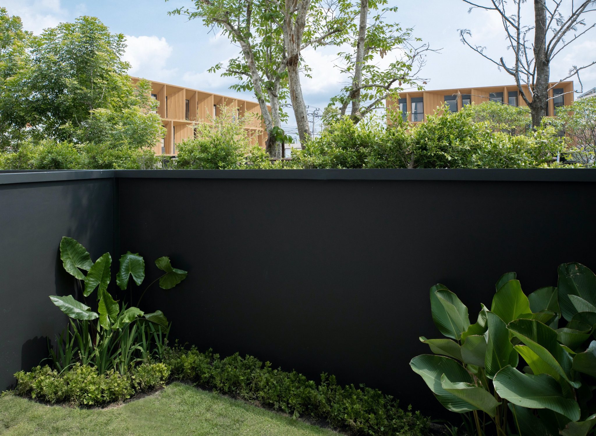 รูปภาพ พลูม วัชรพล-เอกมัย (Plume Watcharaphon-Ekkamai)