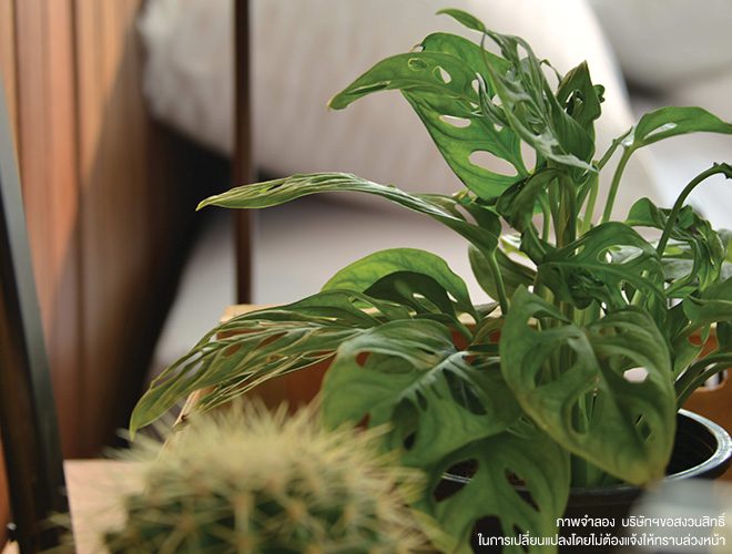 รูปภาพ ไลฟ์ บางกอก บูเลอวาร์ด วงแหวน - พระราม 9 (Life Bangkok Boulevard Wongwaen-Rama9)