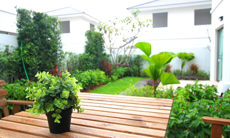 รูปภาพ ไลฟ อิน เดอะ การ์เด้น สวนเสือ - ศรีราชา (Life in the Garden)