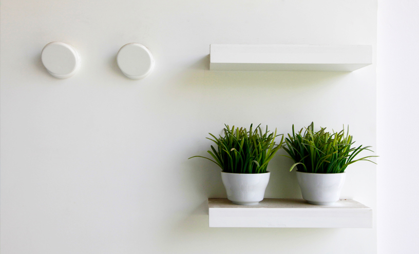 รูปภาพ อินดี้ บางนา (Indy Bangna)