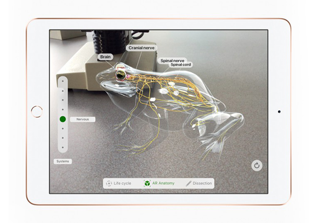 รูปภาพ แอปเปิล APPLE-iPad 9.7 (2018) Wi-Fi 128GB