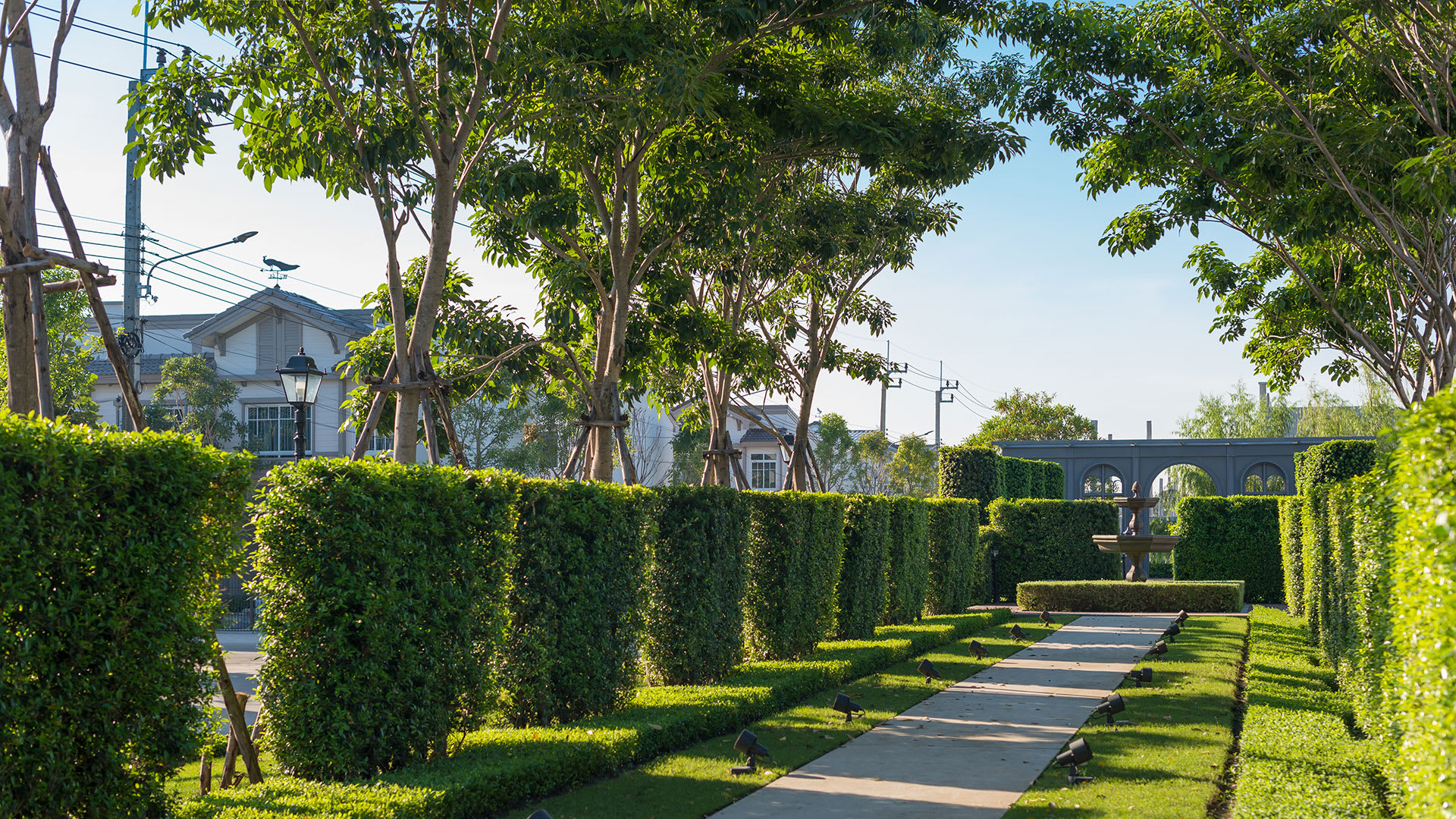 รูปภาพ อินดี้ เวสต์เกต (Indy Westgate)