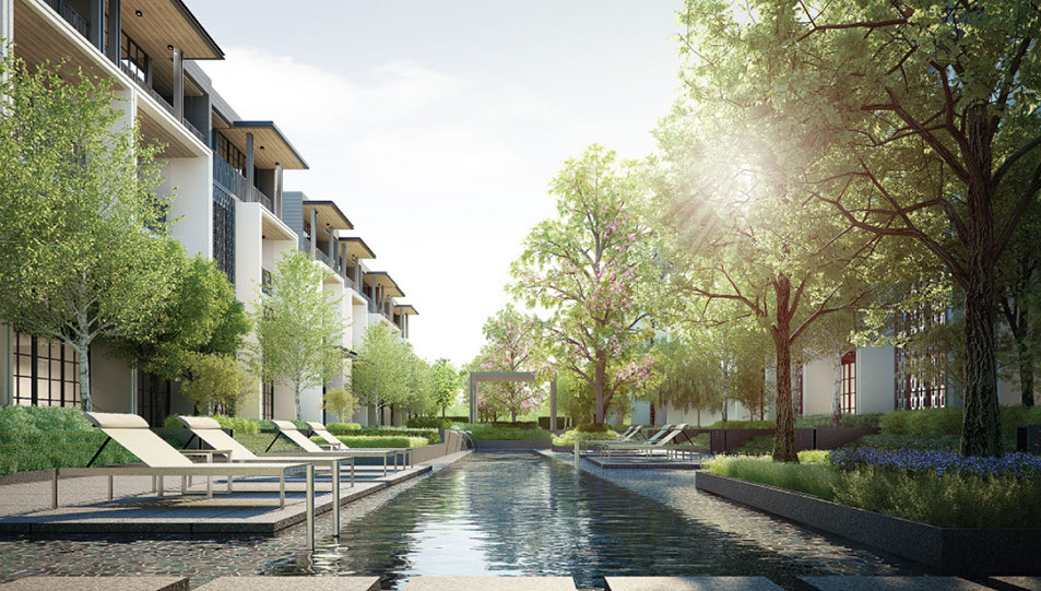 รูปภาพ ควอเตอร์ 31 (Quarter 31)