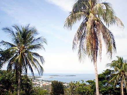 รูปภาพ ล้านดารา สมุย (Laandara Samui)