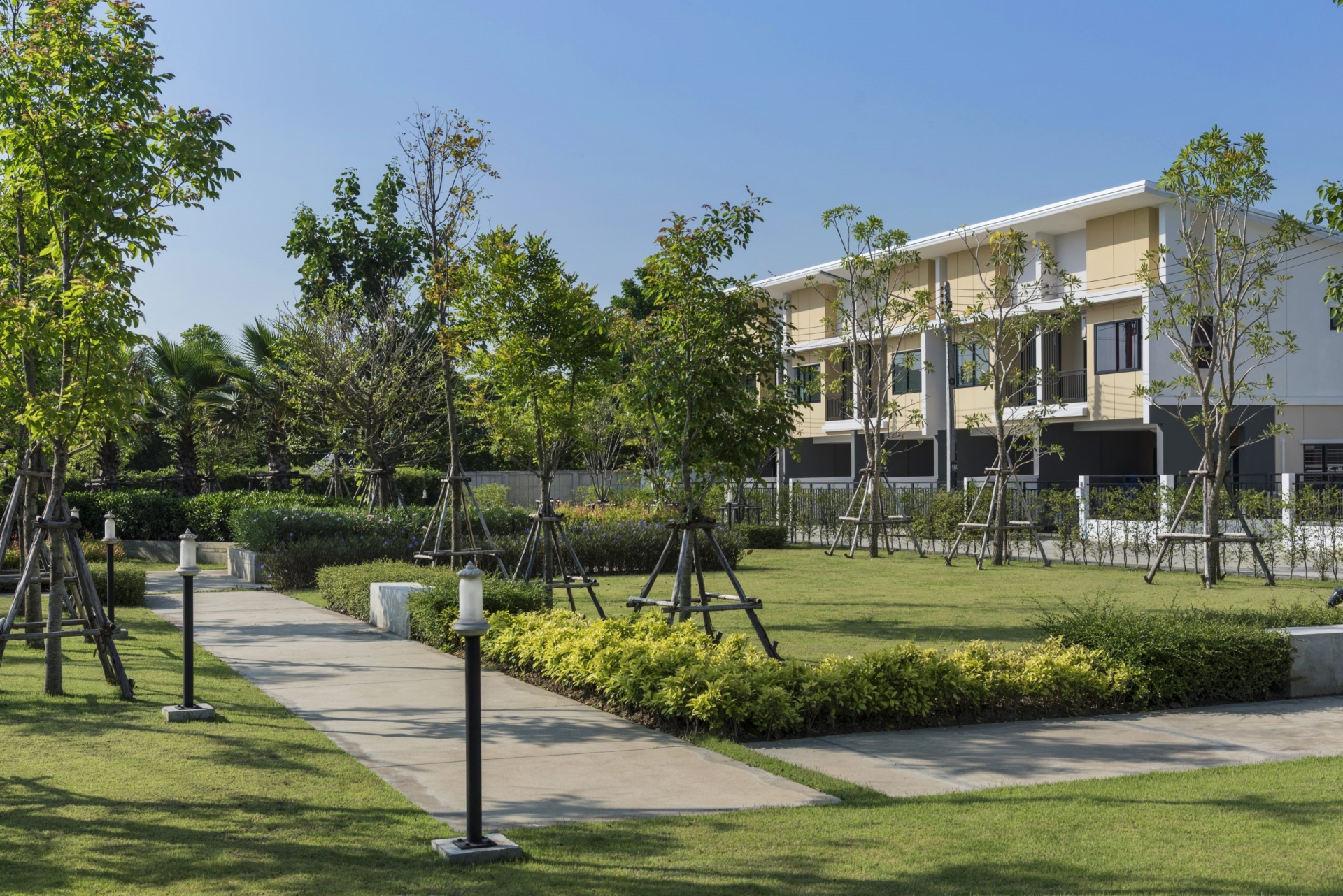 รูปภาพ พฤกษาพรรณ กระดีเดียว 3 (Pauksa Phan Kradi Diao 3)