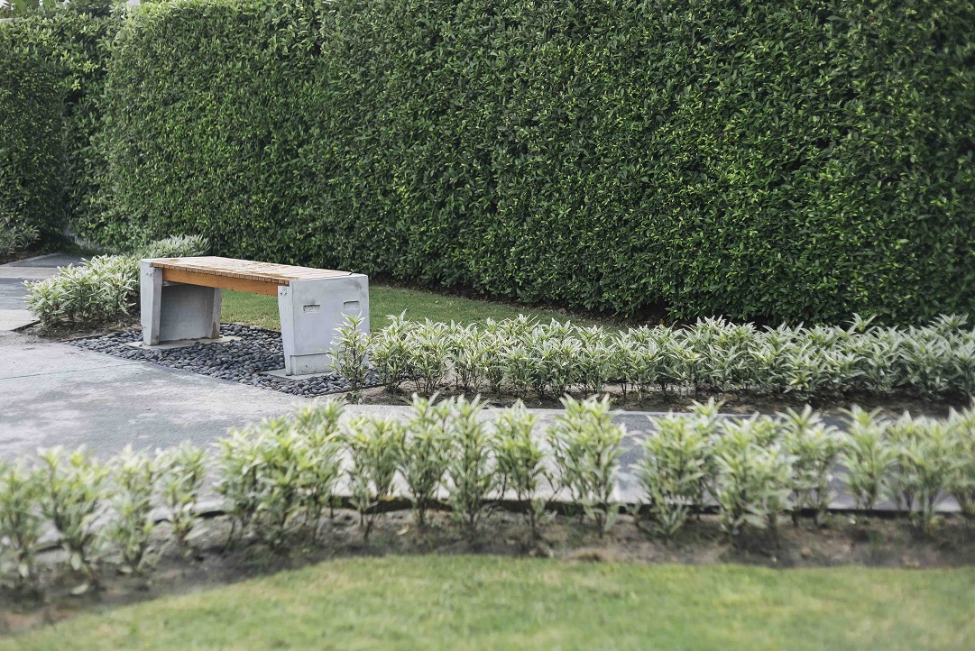 รูปภาพ เดอะริคโค้ ทาวน์ พหลโยธิน-สายไหม (The Ricco Town Phahonyothin - Saimai)