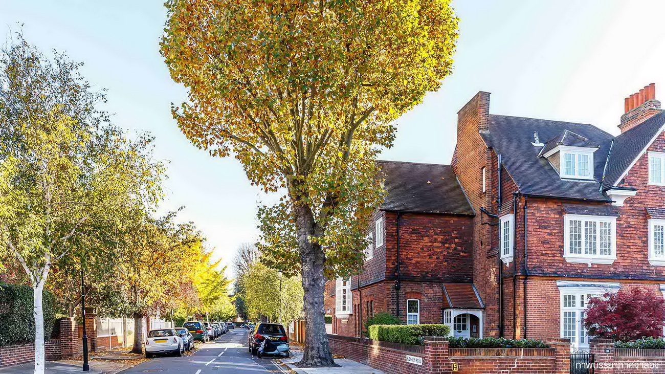 รูปภาพ อินดี้ บางใหญ่ 2 (Indy Bangyai 2)