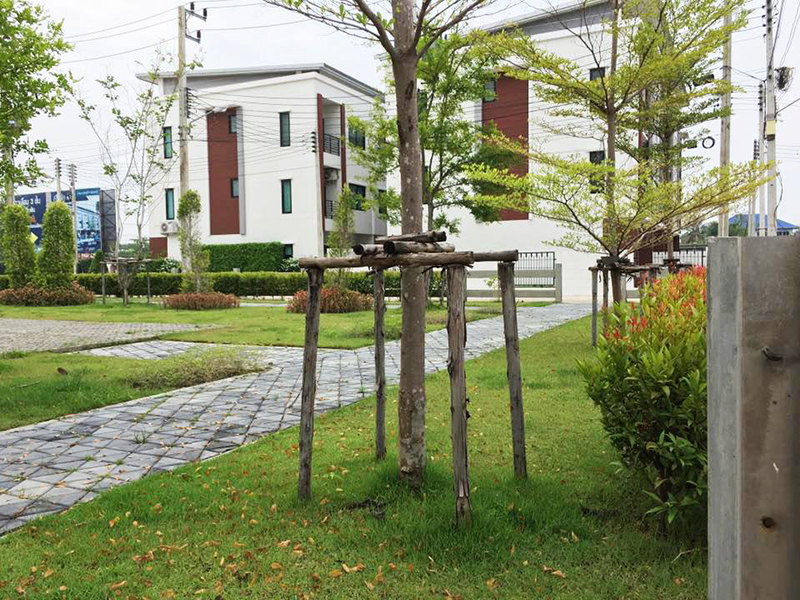 รูปภาพ โคซี่เฮาส์ ปทุมธานี - นนทบุรี (COZY HOUSE Pathumthani - Nontaburi)