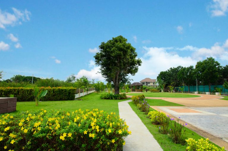 รูปภาพ พิมานชล บูเลอวาร์ด (Pimanchon Boulevard)