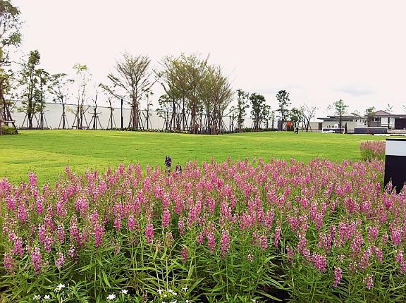 รูปภาพ อินนิซิโอ ปิ่นเกล้า-ศาลายา (Inizio Pinklao-Salaya)