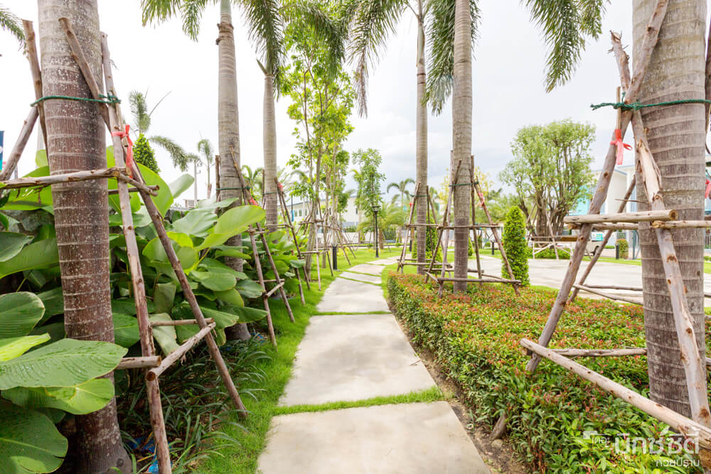 รูปภาพ เดอะ มิกซ์ ซิตี้ ห้วยปราบ (The Mix City Huayprab)