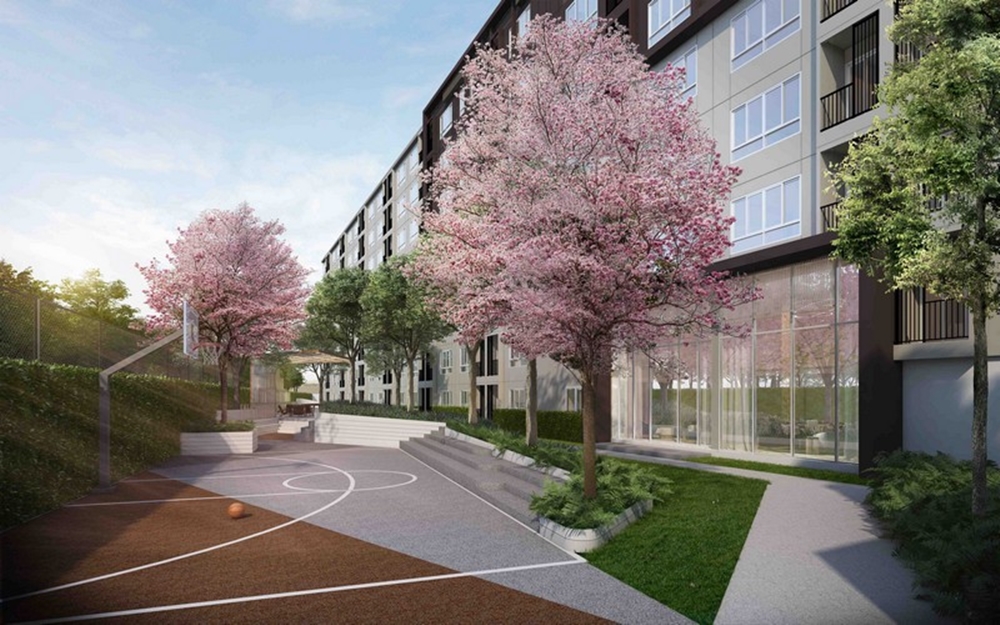 รูปภาพ ดีคอนโด แคมปัส กำแพงแสน (dcondo Campus Kampangsaen)