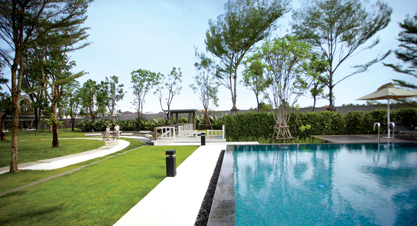 รูปภาพ ชัยพฤกษ์ ปิ่นเกล้า - สาย 5 (Chaiyapruk Pinklao-Sai 5)