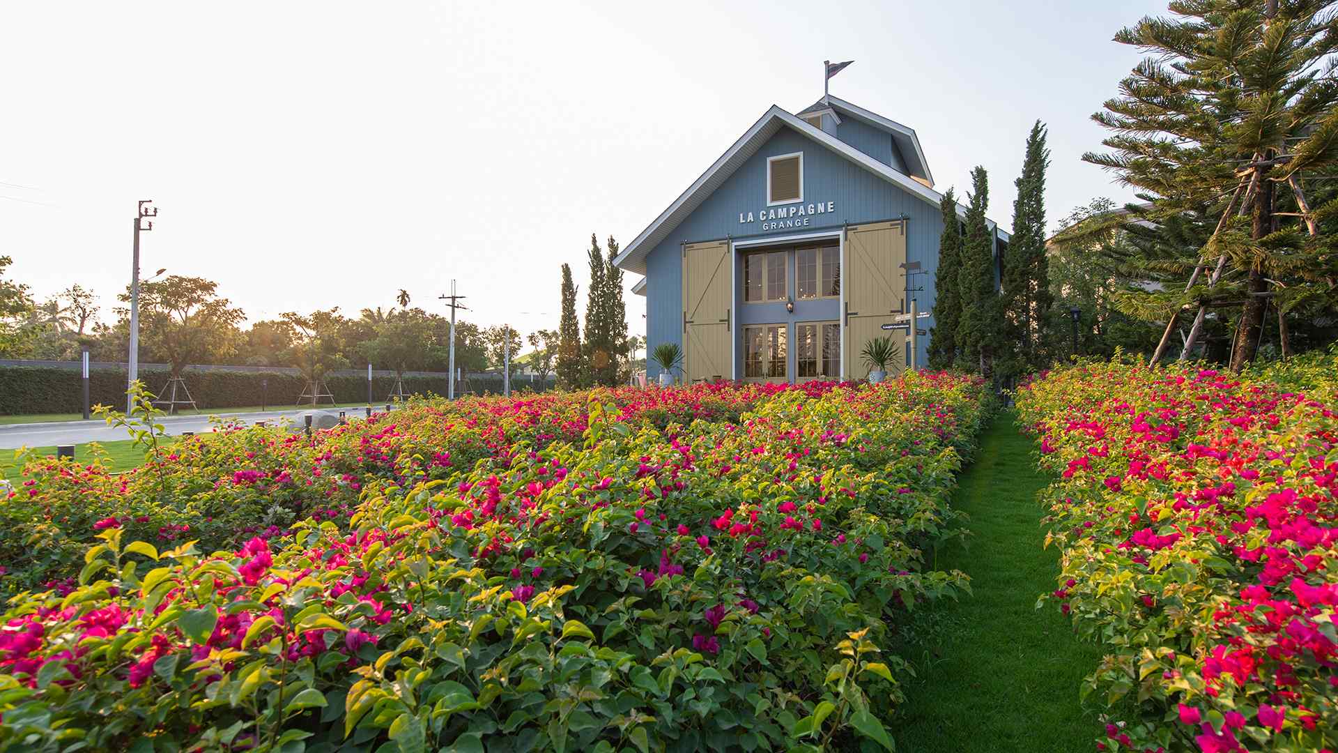 รูปภาพ อัญญ่า ราชพฤกษ์ - นครอินทร์ (Anya Ratchapruek - Nakorn Inn)