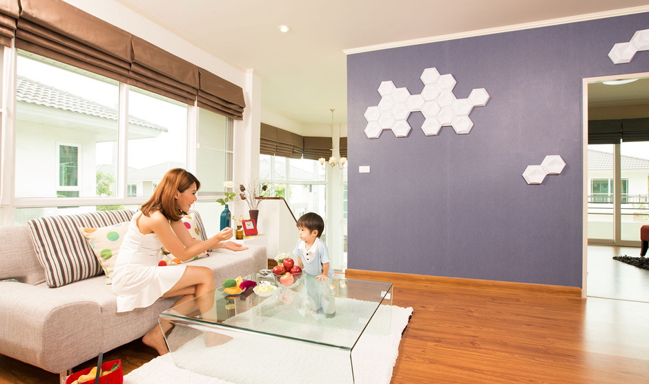 รูปภาพ ศุภาลัย วิลล์ ชลบุรี (Supalai Ville Chonburi)