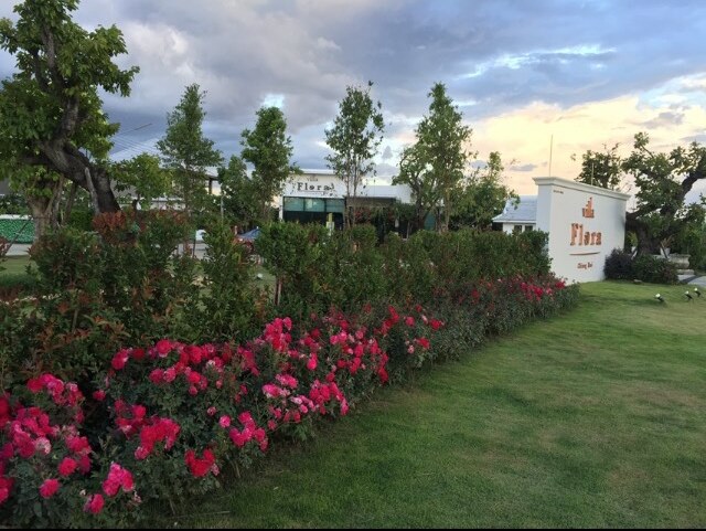 รูปภาพ วิลล่า ฟลอร่า เชียงใหม่ (Villa Flora Chiang Mai )