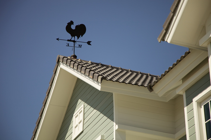 รูปภาพ บุราสิริ ปัญญาอินทรา (Burasiri Panyaindra)