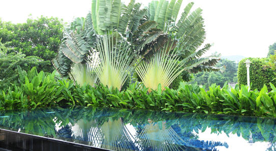 รูปภาพ เดอะ สตาร์ เอสเตท พัฒนาการ 69 (The Star Estate)