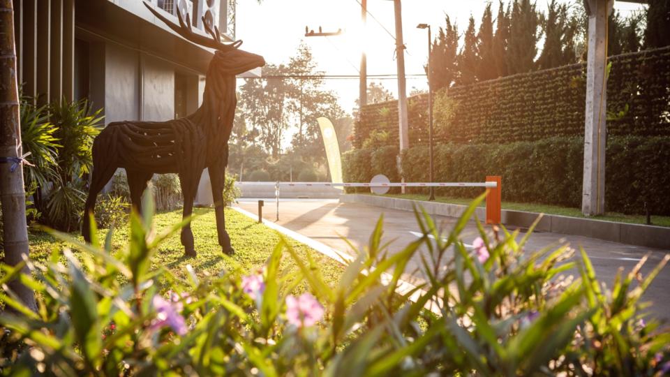 รูปภาพ เดอะ สตาร์ ฮิลล์ (The Star Hill)