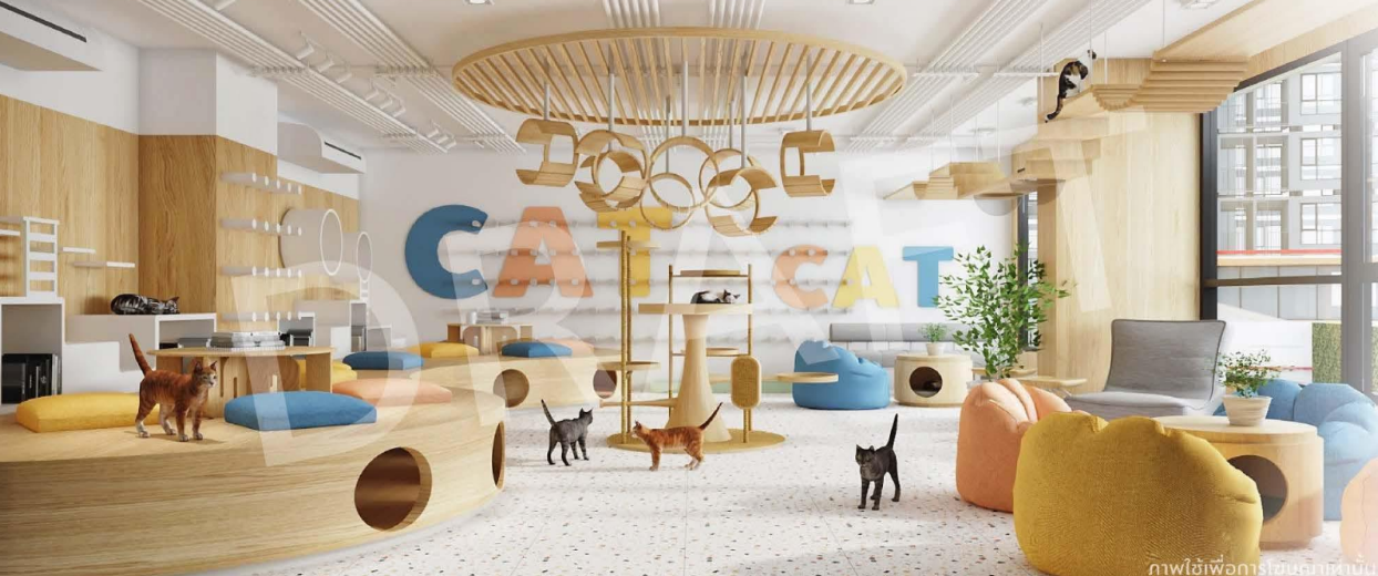 รูปภาพ ออริจิ้น เพลย์ ศรีอุดม สเตชั่น (Origin Play Sri Udom Station)