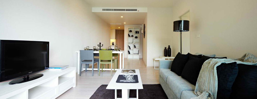 รูปภาพ โนเบิล โซโล (Noble Solo)