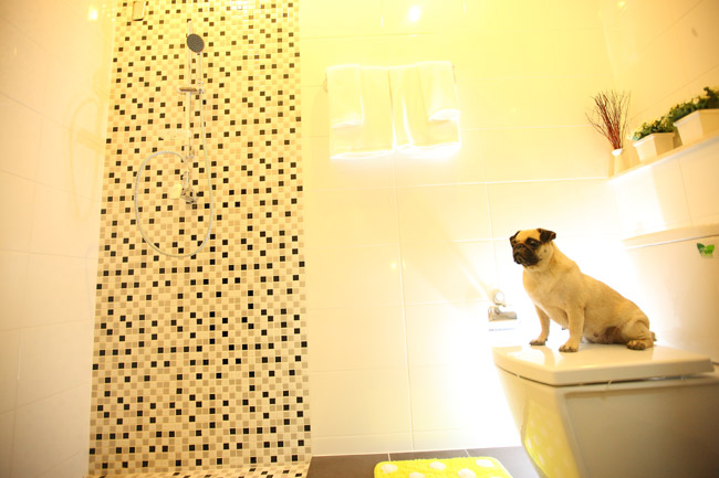 รูปภาพ ซิตี้เซนส์ วัชรพล (Citysense Watcharaphon)