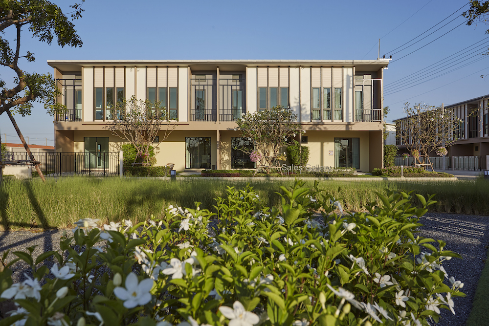 รูปภาพ ภูริ วงแหวน - ลำลูกกา (Puri Wongwaen-Lamlukka)