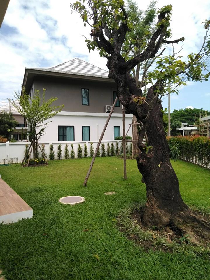 รูปภาพ วิลล่า ฟลอร่า เชียงใหม่ (Villa Flora Chiang Mai )