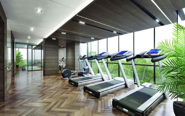 รูปภาพ เดอะ คอลเลคชั่น 16 (The Collection 16)