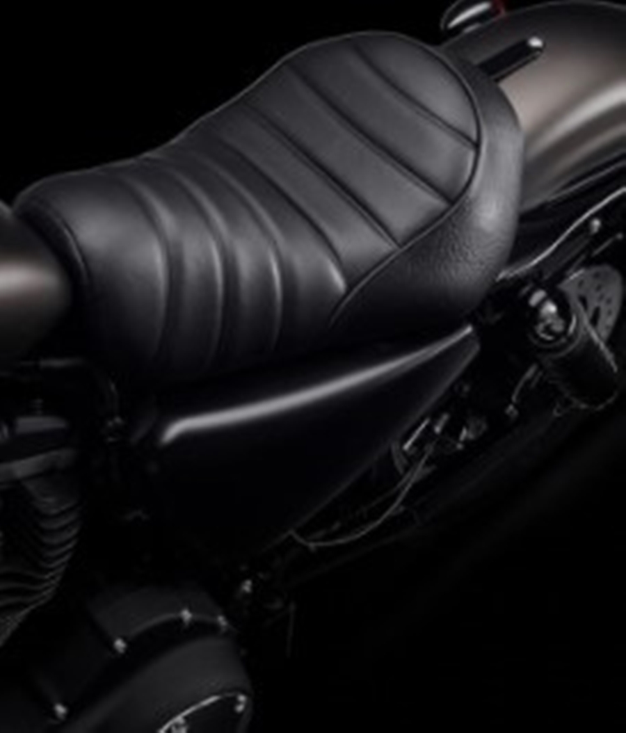 รูปภาพ ฮาร์ลีย์-เดวิดสัน Harley-Davidson Cruiser Iron 883 ปี 2022