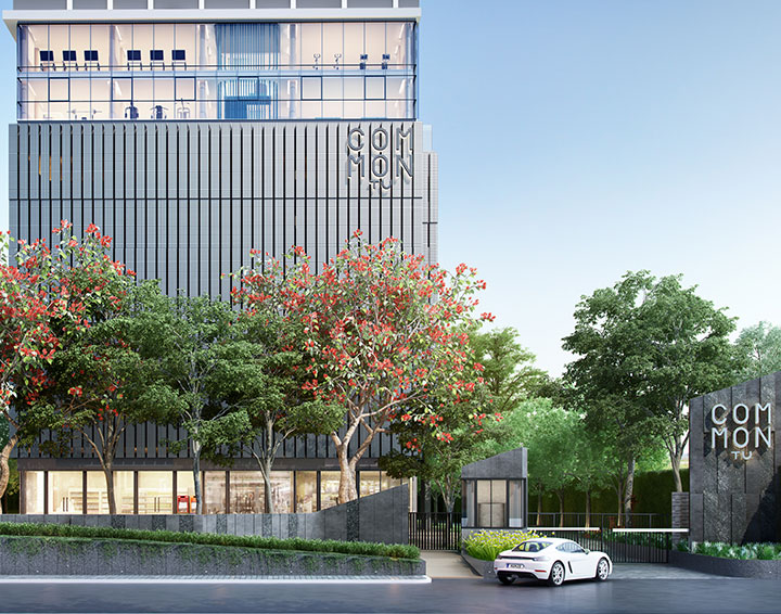 รูปภาพ คอมมอน ทียู (COMMON TU)